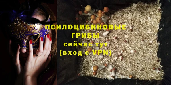 гидра Переславль-Залесский