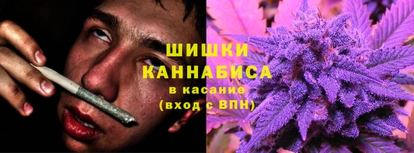 гидра Переславль-Залесский