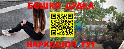 шишки Татарск