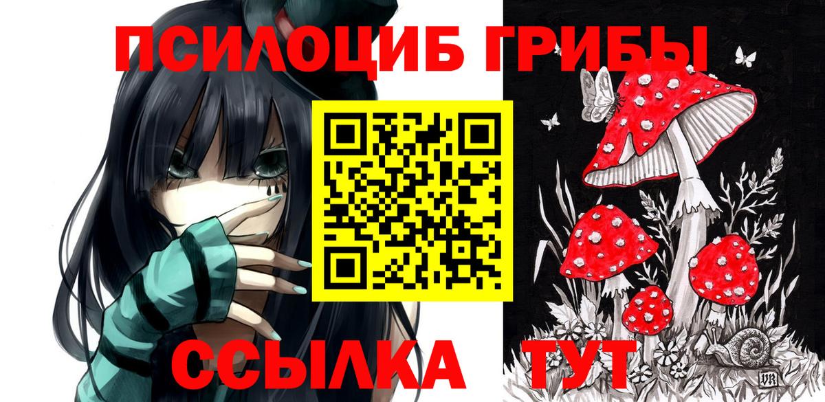 Галлюциногенные грибы Psilocybine cubensis Учалы